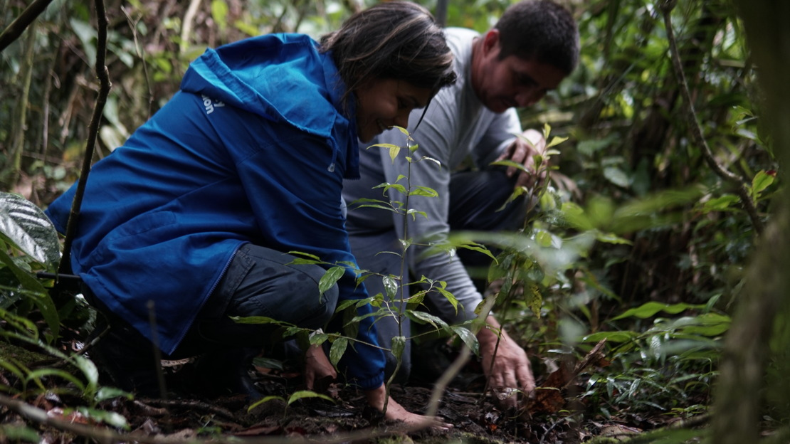 Déminage et environnement : en Colombie, HI s’engage pour préserver la biodiversité