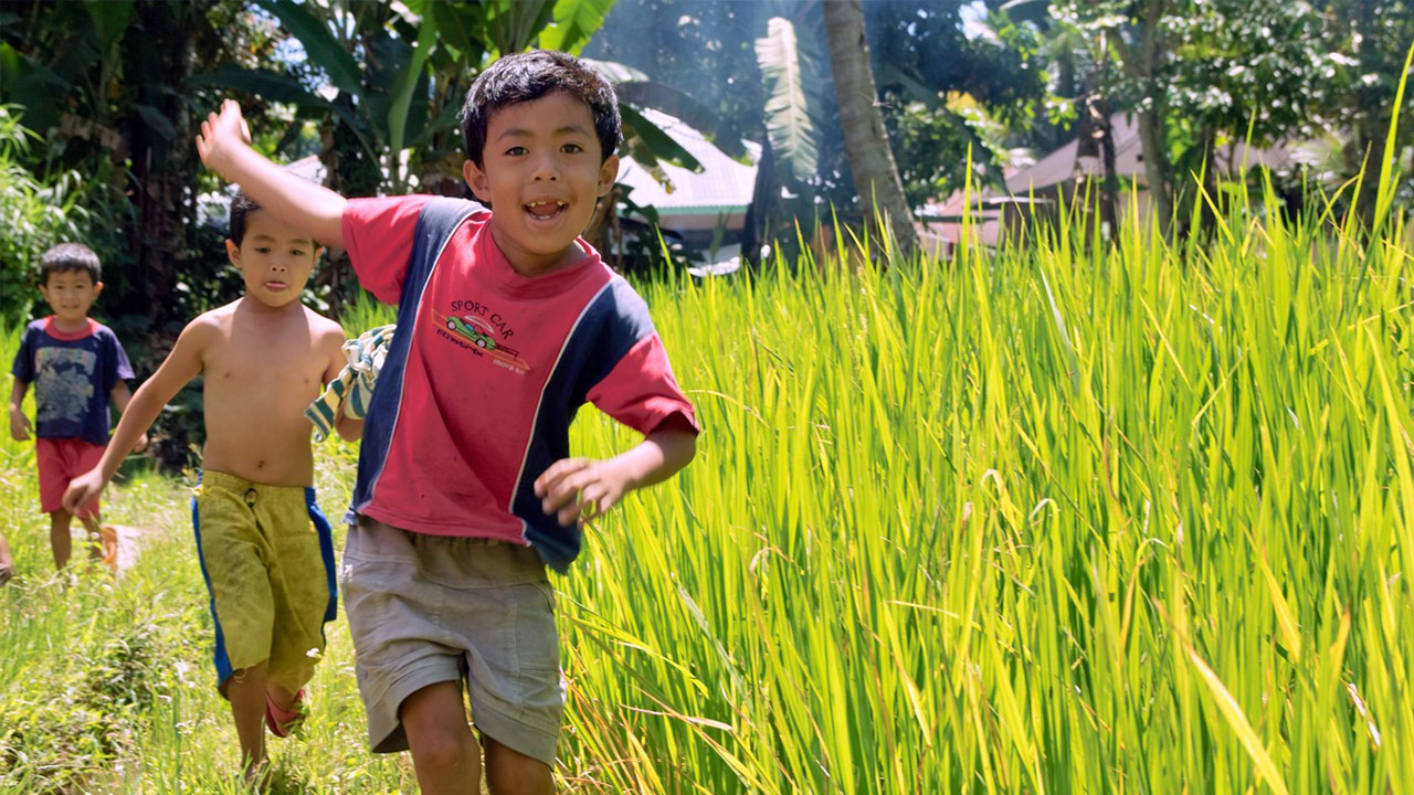 HI Indonésie. Enfants dans l'île de Sumatra, région de Padang